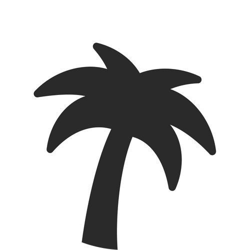Palm PC